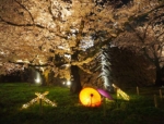 「舞鶴公園の桜ライトアップ感想！福岡県の桜の名所はここ！2018年版」　トップ画像