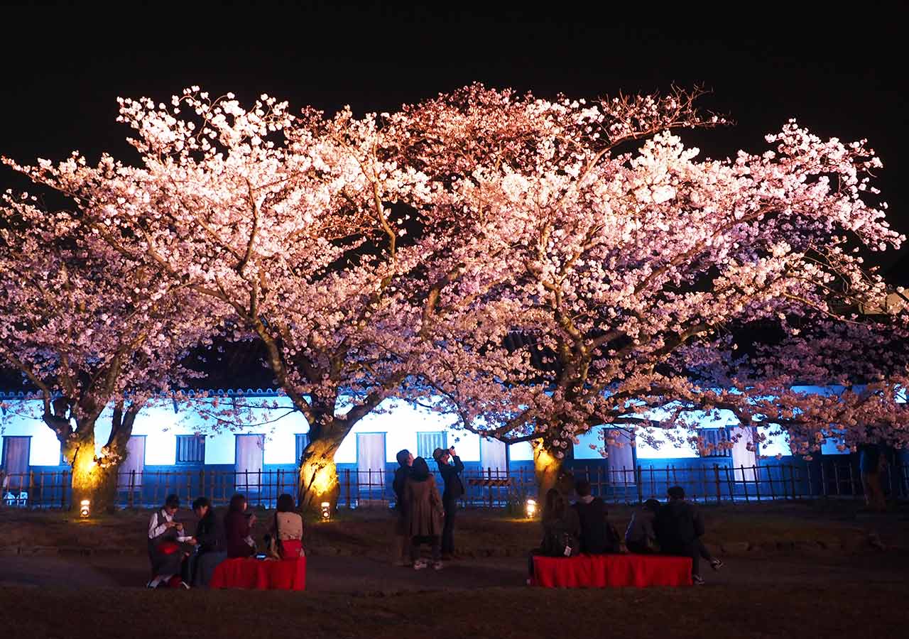 舞鶴公園「福岡城さくらまつり」ライトアップ　福岡城の多聞櫓ライトアップ