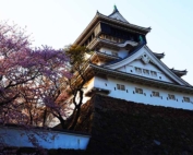 「福岡一の桜の名所、小倉城！風情たっぷりのお花見を楽しもう」　トップ画像