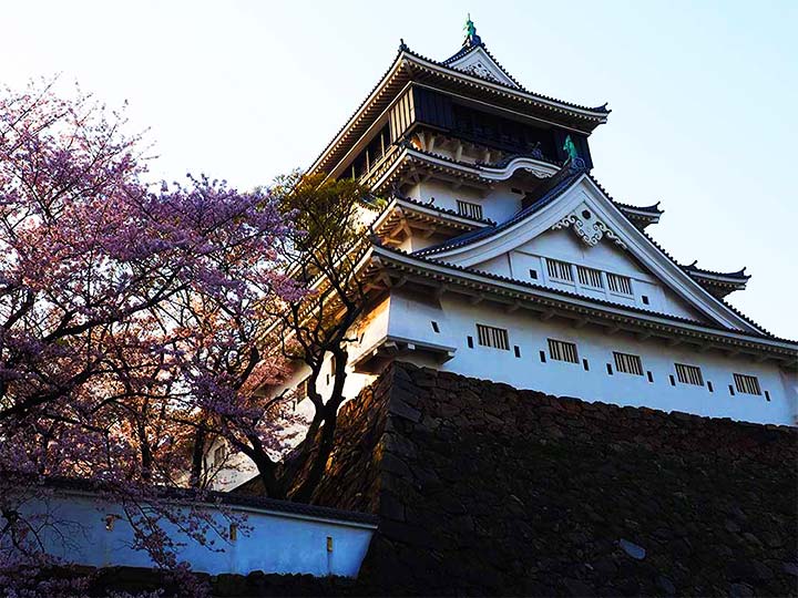 「福岡一の桜の名所、小倉城！風情たっぷりのお花見を楽しもう」　トップ画像