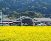 「糸島産直市場の福ふくの里がめっちゃ良かった！糸島の穴場」　トップ画像