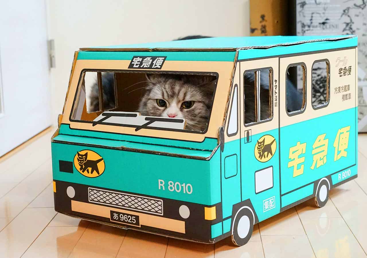猫がヤマト急便のドライバーをしてる画像