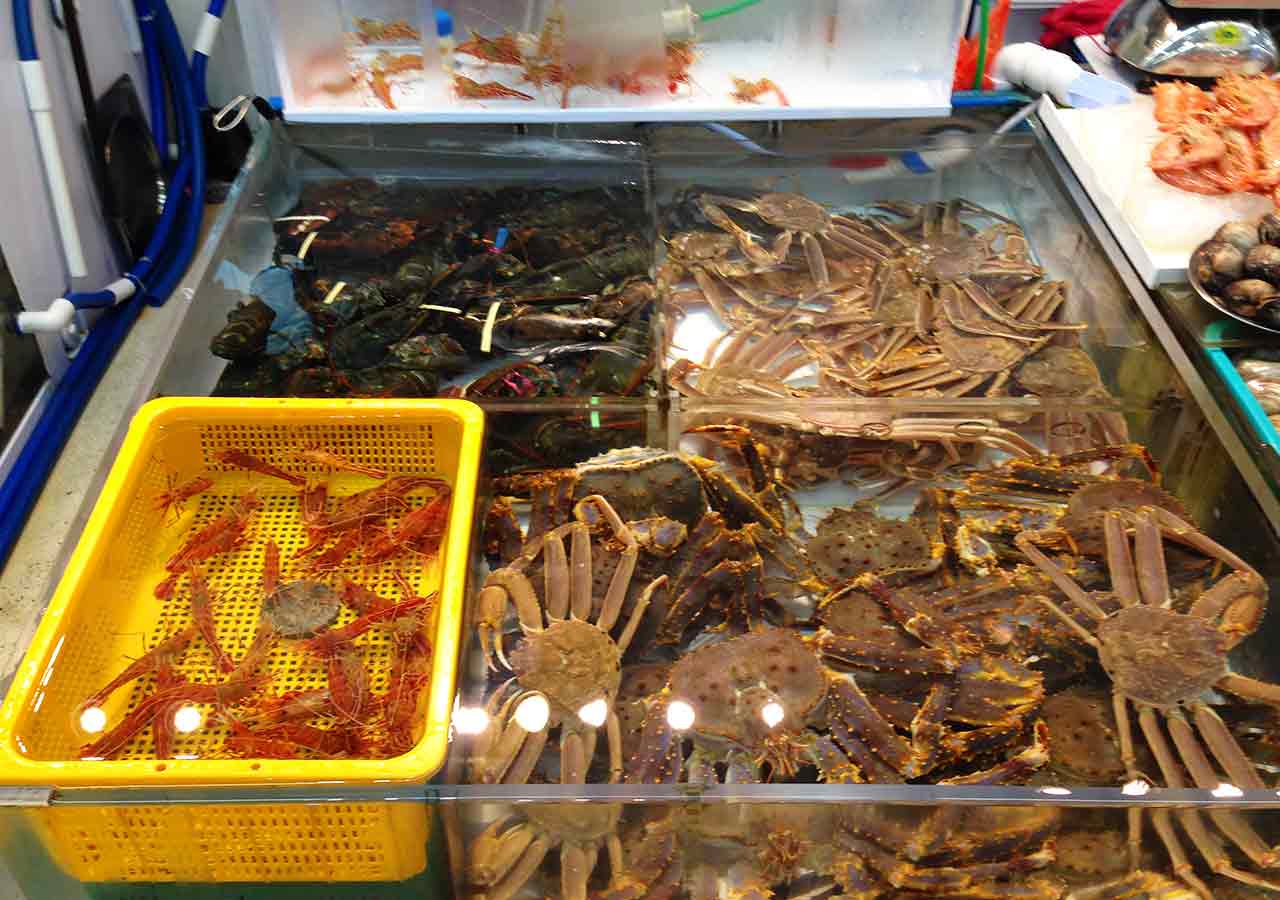 釜山観光　チャガルチ市場　建物内の露店の魚たち
