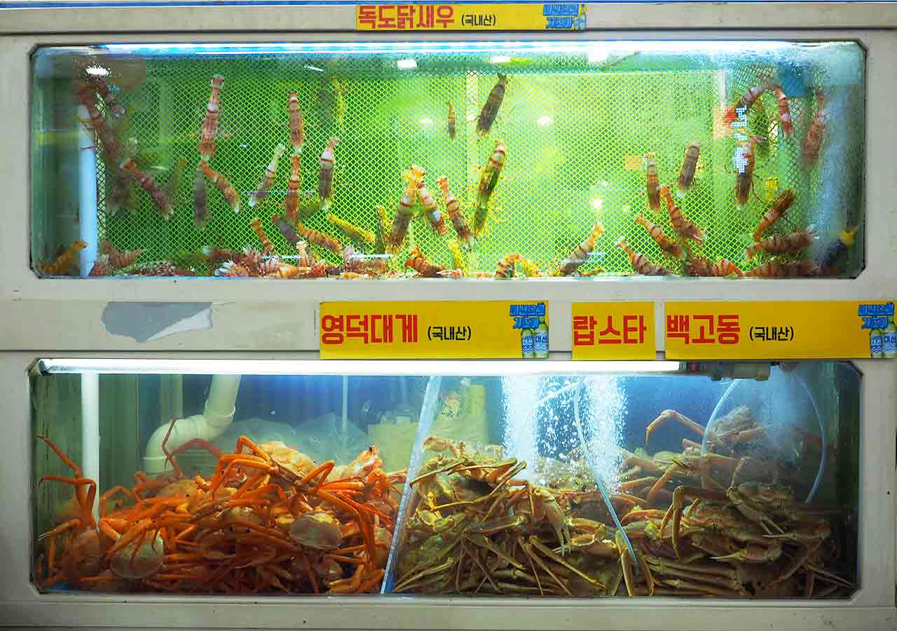 釜山観光　BIFF広場の屋台　　海鮮レストランストリートの水槽