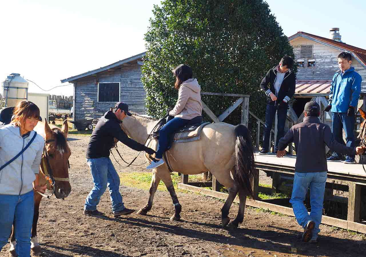 熊本県阿蘇　エル・パティオ牧場　乗馬体験