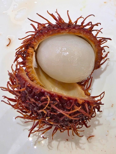 henn-na-hotel-seoul-myeongdong-breakfast-rambutan 変なホテルソウル明洞 朝食ビュッフェのランブータン
